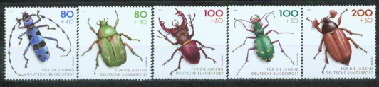 1a-1670.jpg (29647 Byte)