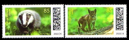 3681.jpg (33368 Byte)