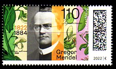 3699.jpg (19535 Byte)