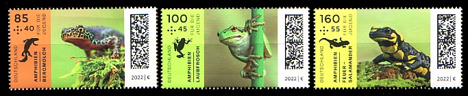 3706.jpg (52807 Byte)