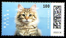 3748.jpg (16069 Byte)