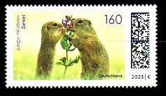 3782.jpg (17355 Byte)