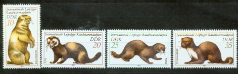 4a-2680.jpg (27327 Byte)