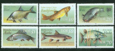 4a-3100.jpg (29931 Byte)