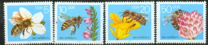 4a-3298.jpg (19684 Byte)