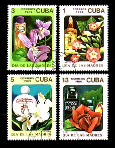 moti1552.jpg (41419 Byte)