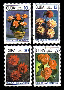 moti1553.jpg (40997 Byte)