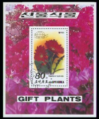 moti1558.jpg (21689 Byte)