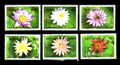 moti1565.jpg (54727 Byte)