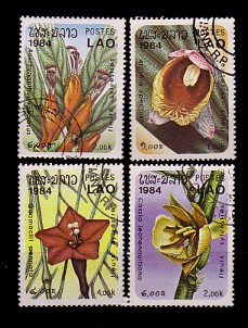 moti1578.jpg (37905 Byte)