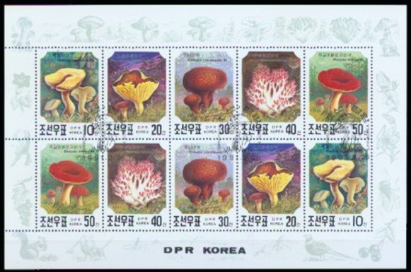 moti1604.jpg (73976 Byte)