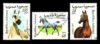 moti1801.jpg (26882 Byte)