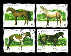 moti1807.jpg (34392 Byte)