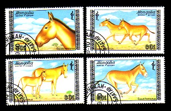 moti1819.jpg (45575 Byte)