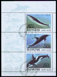 motiv362.jpg (19225 Byte)