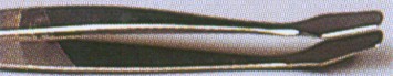 p1858.jpg (11013 Byte)